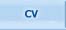 Curriculum Vitae